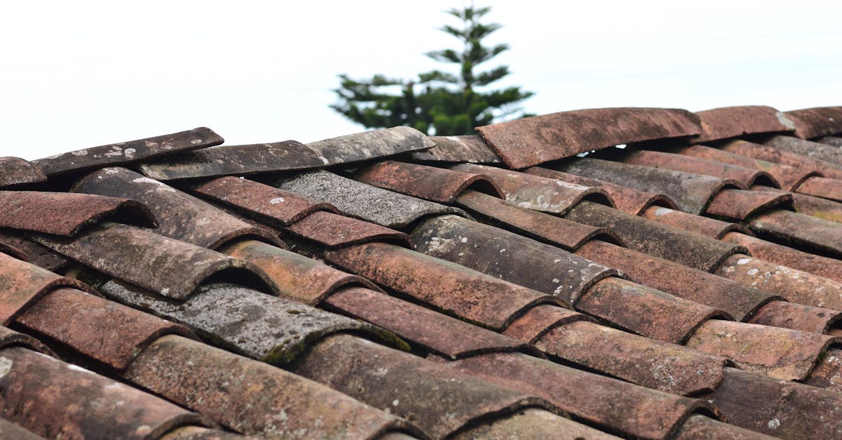Sky Light Roofing